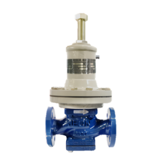 JEON DGX Series Regulators